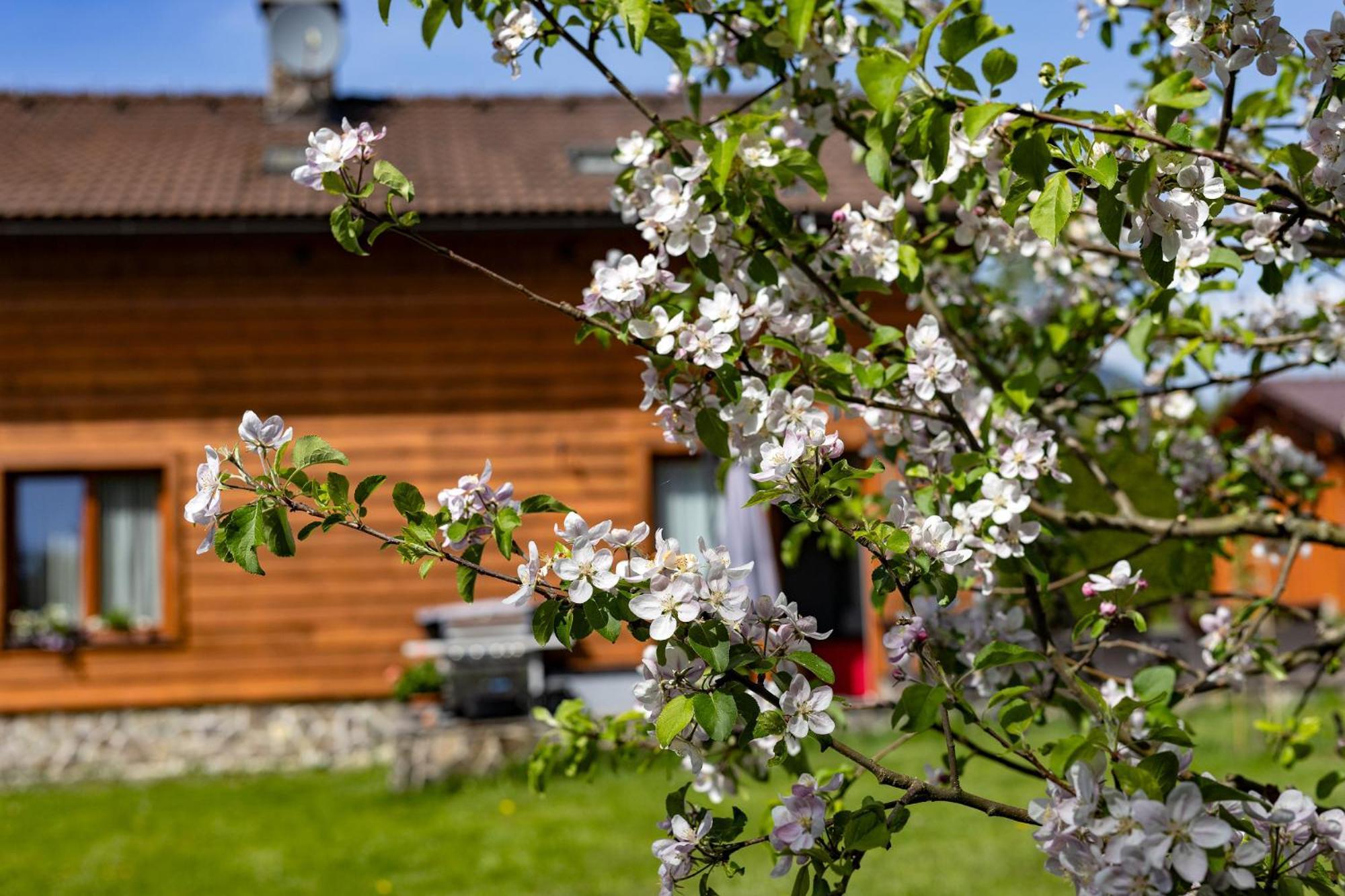 Apartmány Anička ubytovanie region Liptovský Mikuláš Liptovske Matiasovce Exterior foto